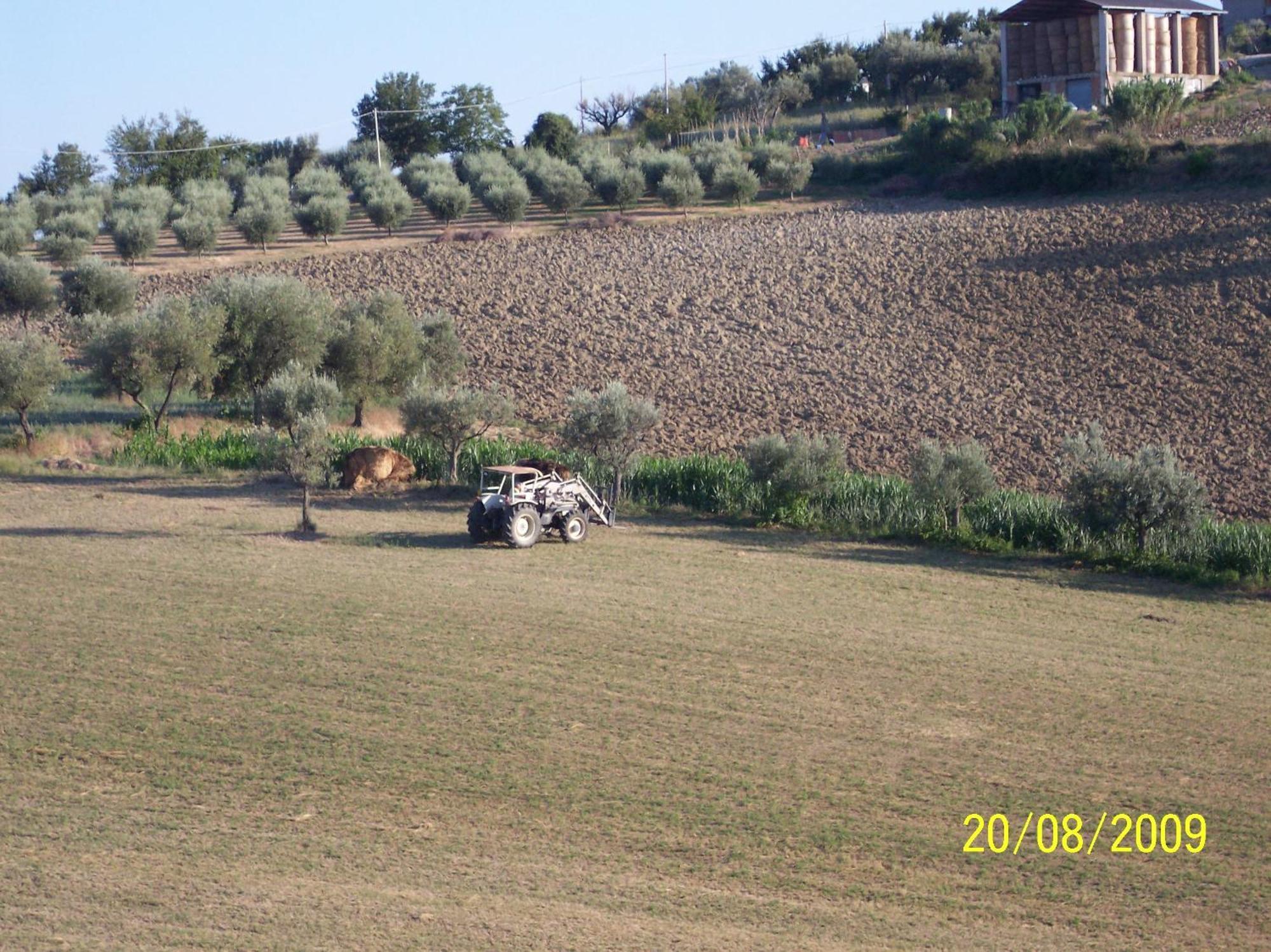Agriturismo Il Vecchio Carro Campli Экстерьер фото